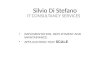 Silvio Di Stefano, IT consultancy services