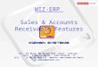 Wizmen Sales & Accounts Receivable Features (Textile)