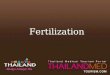 Thailand Medical Tourism_Fertilization