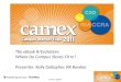 eBook Evolution (Revolution): Where Do Campus Stores Fit In? CAMEX College Bookstore Presentation