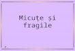 Fragile fragile