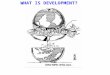 Factors Influencing Development