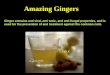 Miracles of Ginger
