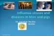 Influenza A H1N1 by Dr.J Nuchin-Belgaum