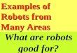 002.What Robots Are Good For