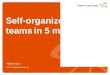Self-organized Teams in 5 minutes
