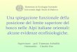Discussione Tesi "Una spiegazione funzionale della posizione del limite superiore del bosco nelle Alpi italiane orientali: alcune evidenze ecofisiologiche"