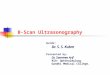 B Scan Ultrasonography01