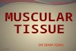 Muscular Tissue