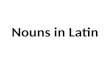 Latin Noun Practice: Declensions 1-3