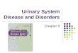 Chapter 8-Urinary System Disease and Disorders 2009