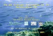 Mediterranean Sea: The GEF Strategic Partnership for the Mediterranean LME (Lascaratos) [IWC4 Presentation]