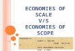Economies of Scope and Scale