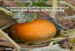 An IPM Scouting Guide for Common Problems of Cucurbit Crops in Kentucky