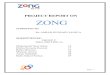 Business Communication Project ZONG