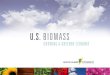 Biomass Ppt 1-09