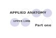 Applied Anatomy of Upper limb part one