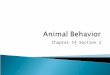 Animal Behavior Ch 14.2 7th