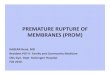 Premature Rupture of Membranes (Prom)
