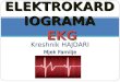 ECG - ELEKTROKARDIOGRAMA