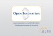 Palestra Open Innovation - Allagi - Maio 2008 - Inovação Aberta no Brasil