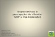 Análise de presença online Sky e Via Embratel - Expectativas e Percepções