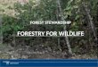 Forestry for Wildlife