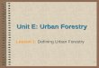 Urban Forestry Afghanistan