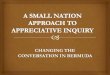Small Nation Approach to Appreciative Inquiry