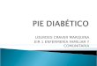 (2013-02-19) REVISION DEL PIE DIABETICO (PPT)