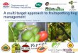 Crop protection   multi targeted approach to fruit spotting bug management - ruth huwer and craig maddox