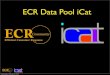 ECR Demand iCat intro