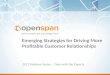 Emerging Strategies for Driving More Profitable Customers