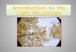 Introduction to the light microscope