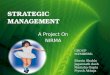 Nirma Strategic Management