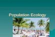 Lecture Population Ecology