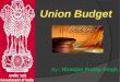 Union budget by niranjan singh