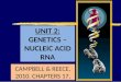 Unit 2 genetics nucleic acid rna