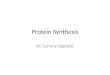 Sammy Gigliotti's Protein synthesis flipbook