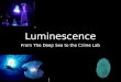 Luminescence presentation
