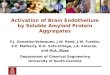 Activation of Brain Endothelium by Soluble Amyloid Protien Aggregates, Melissa Moss, PhD