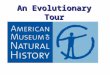 An evolutionary tour of the amnh part 2