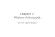 Chapter 9 arthropods zoology