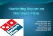 Marketing Project on Dominos
