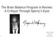 The brain balance program in review