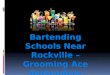 Bartending schools near rockville â€“ grooming ace bartenders -ppt