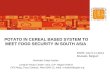 Potato in cereal-based system to meet food security in Asia