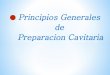 Principios generales 2013 2