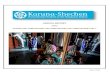 Annual Report Karuna-Shechen 2013