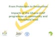 From Protection to Production: Impacts of the Ghana LEAP programme at community and household level